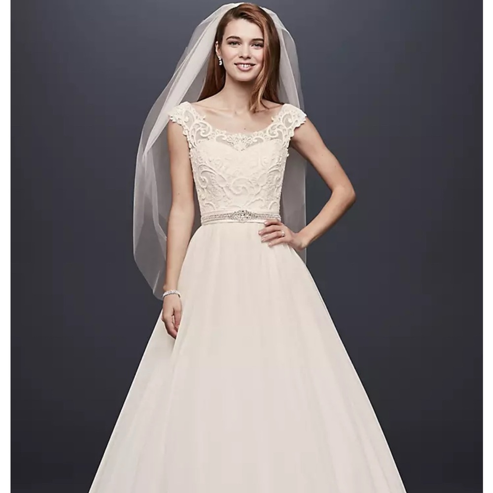 David’s Bridal Tulle Wedding Dress with Lace Illusion Neckline
STYLE# WG3741